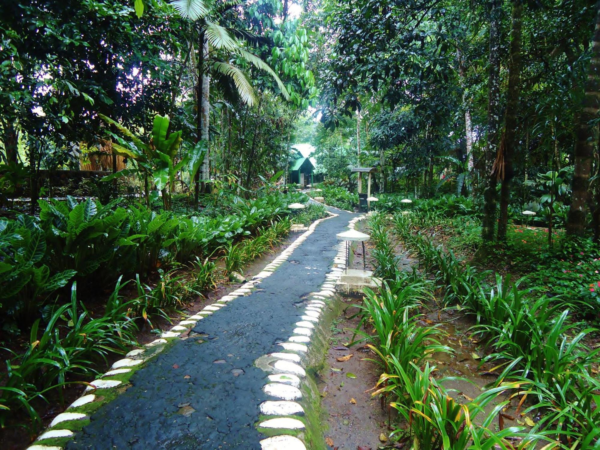 Hosteria El Paraiso De Las Orquideas Archidona Екстер'єр фото